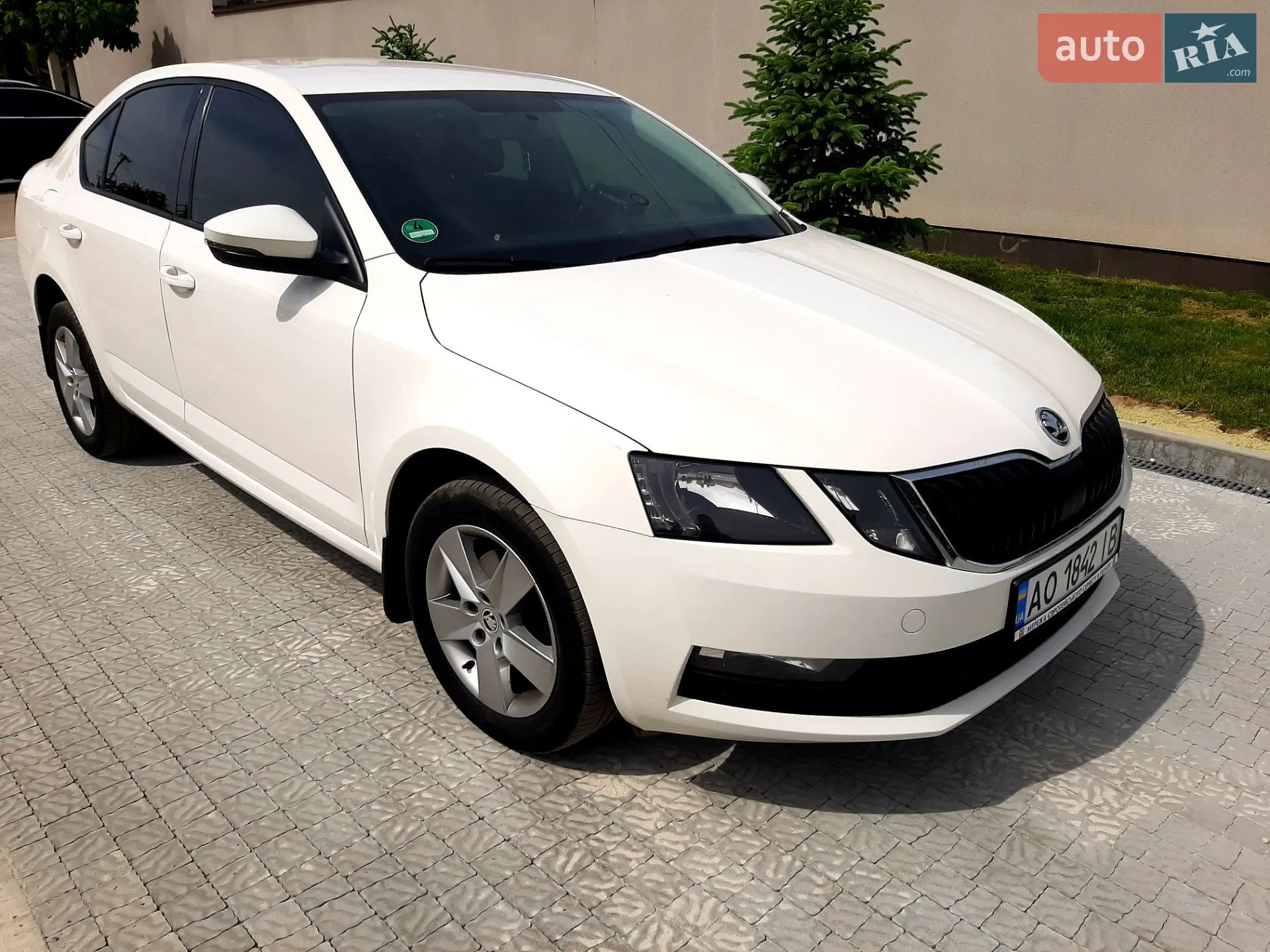2017 Skoda Octavia - мініатюра 2