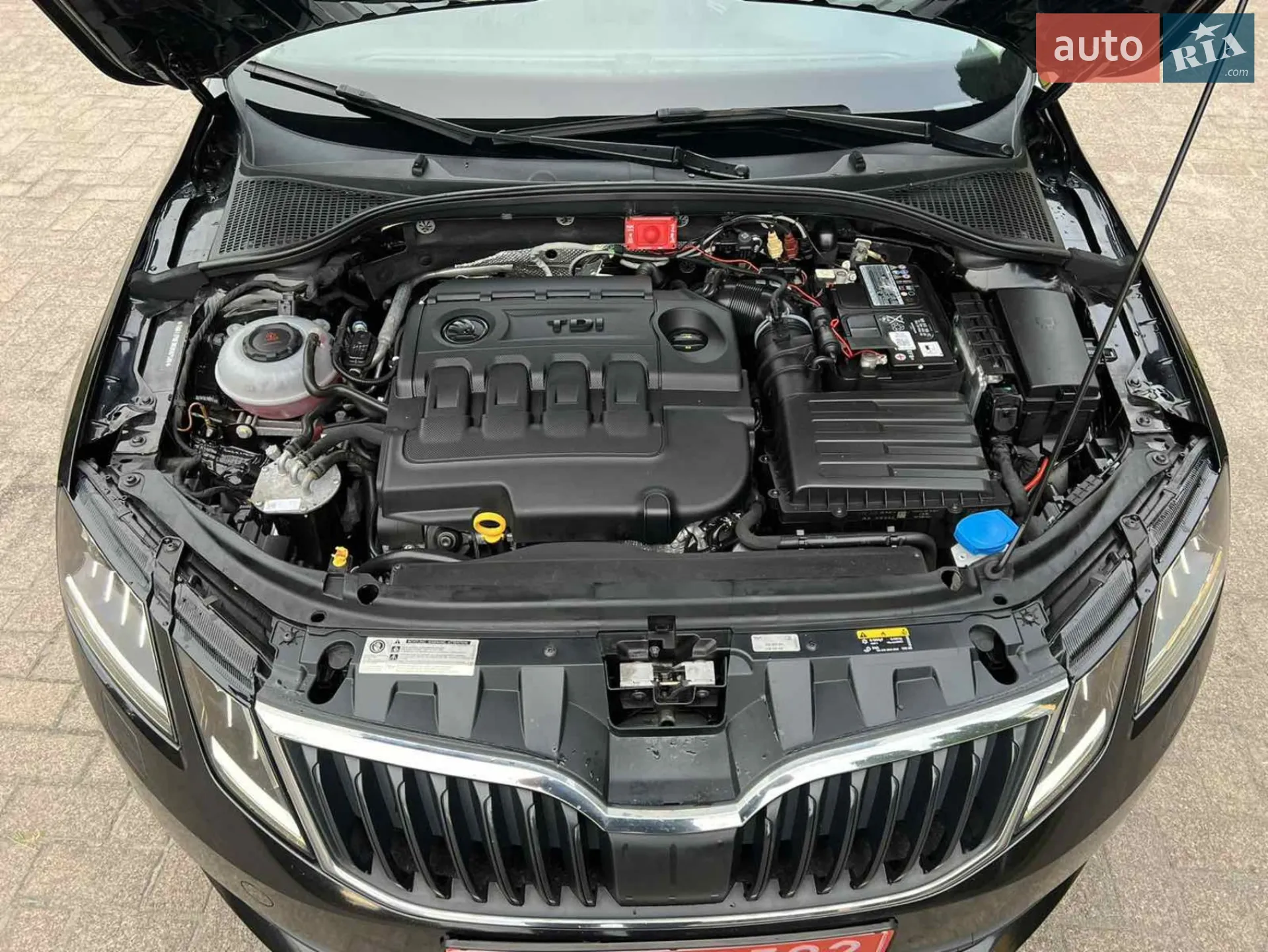 2018 Skoda Octavia - мініатюра 8