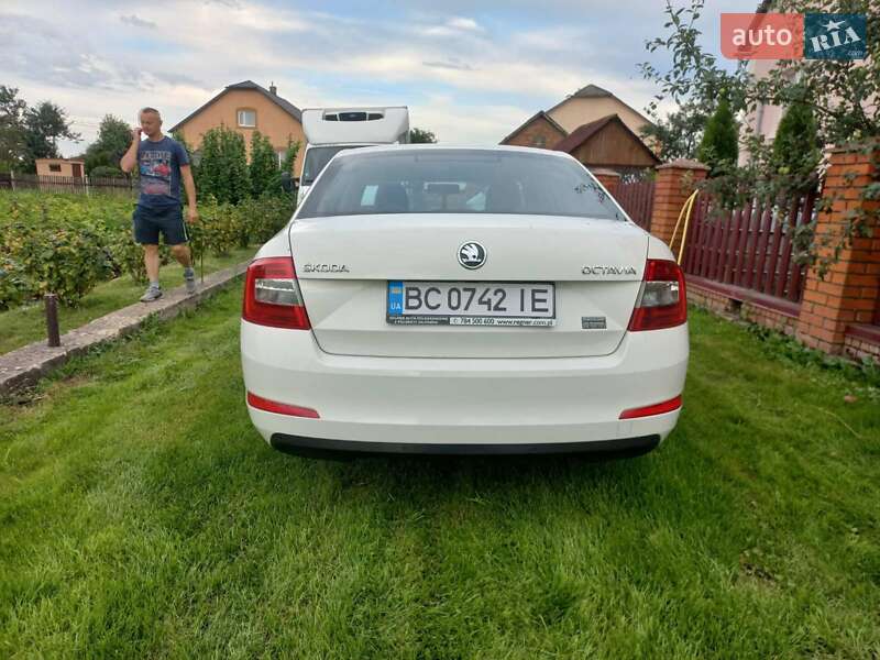Лифтбек Skoda Octavia 2014 в Стрые