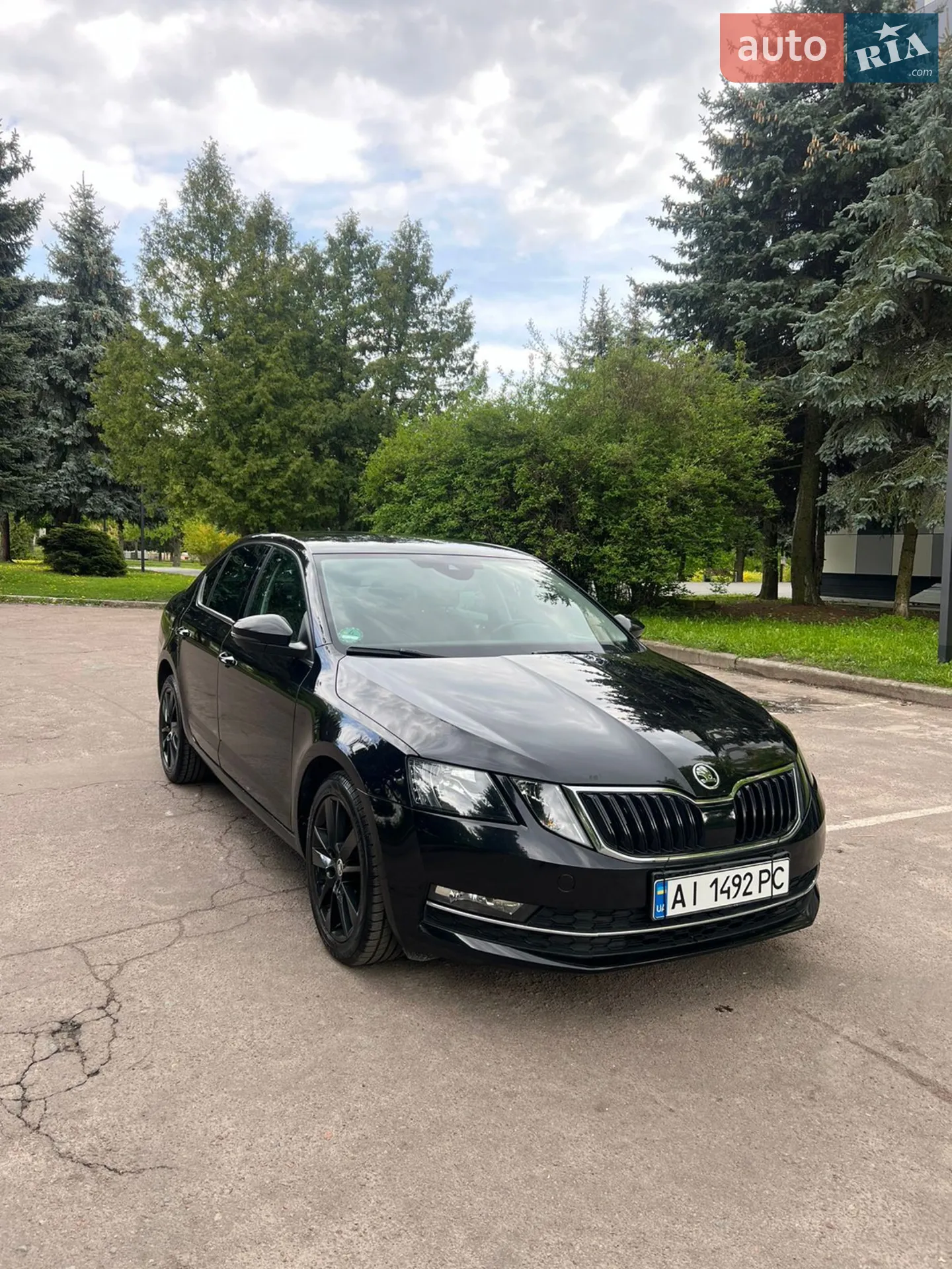 2019 Skoda Octavia - фото 1
