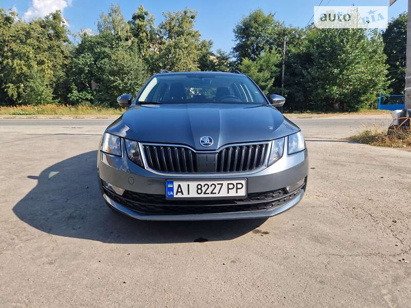 Универсал Skoda Octavia 2019 в Бородянке