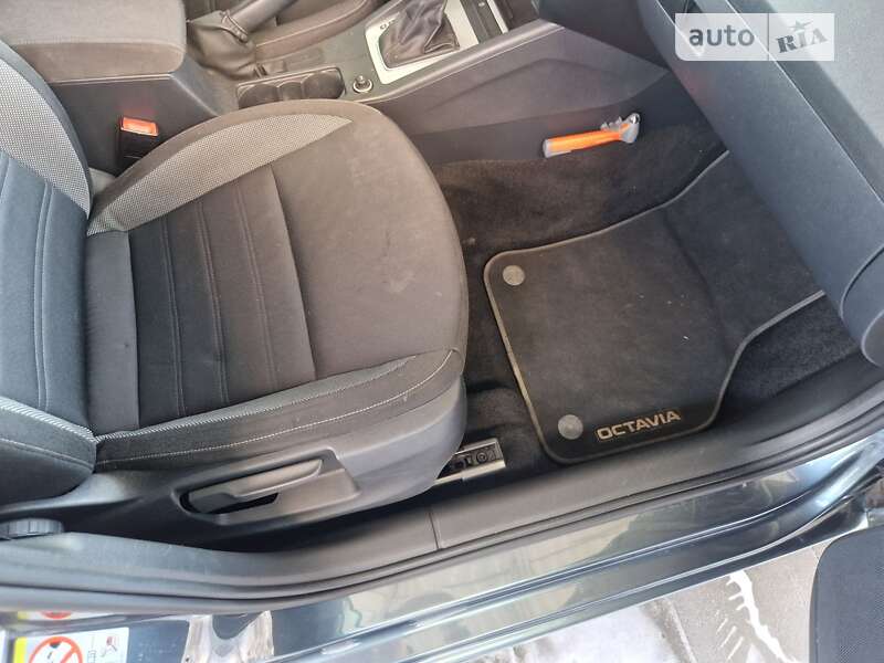 Универсал Skoda Octavia 2019 в Бородянке