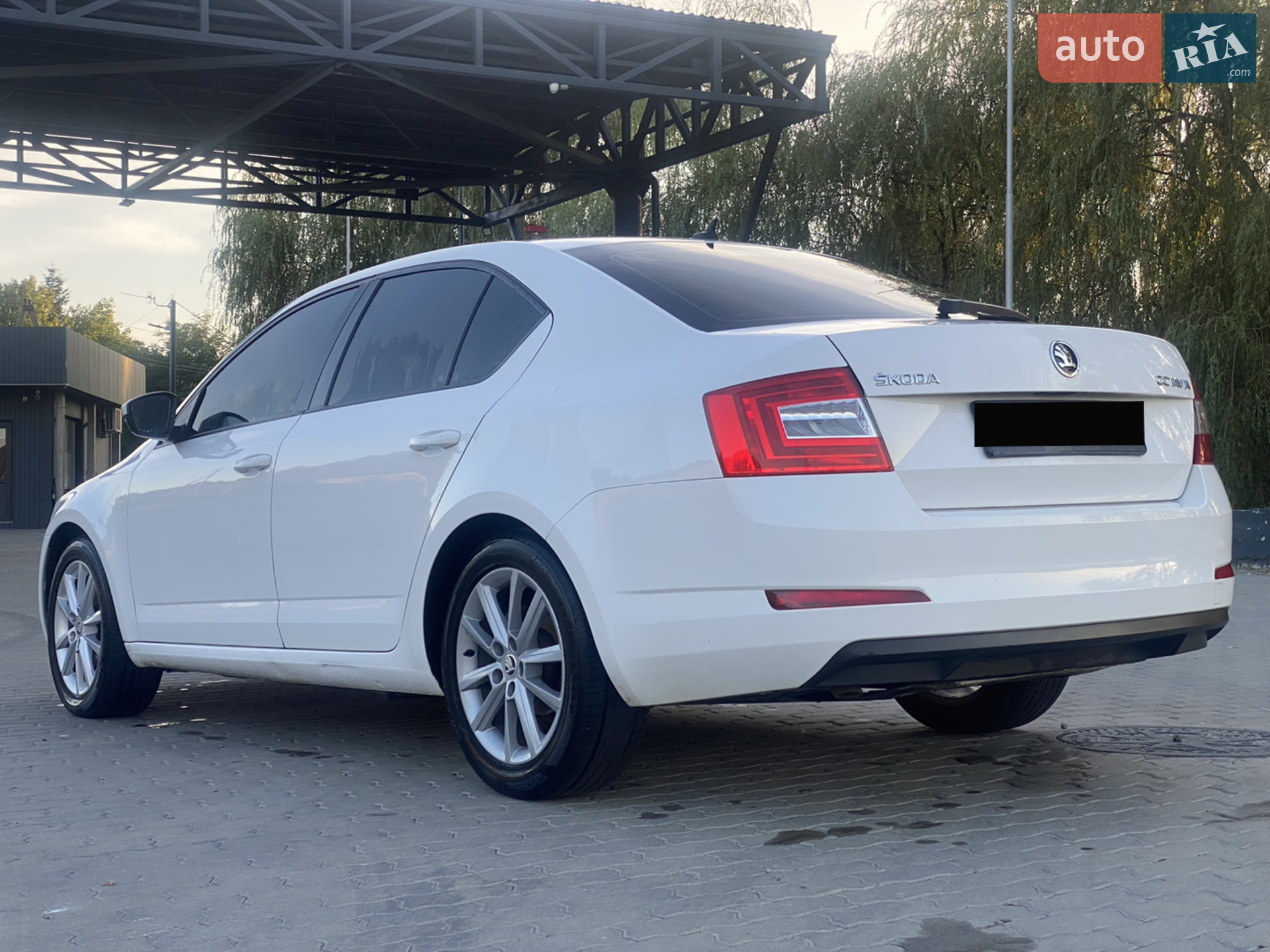 2016 Skoda Octavia - мініатюра 3