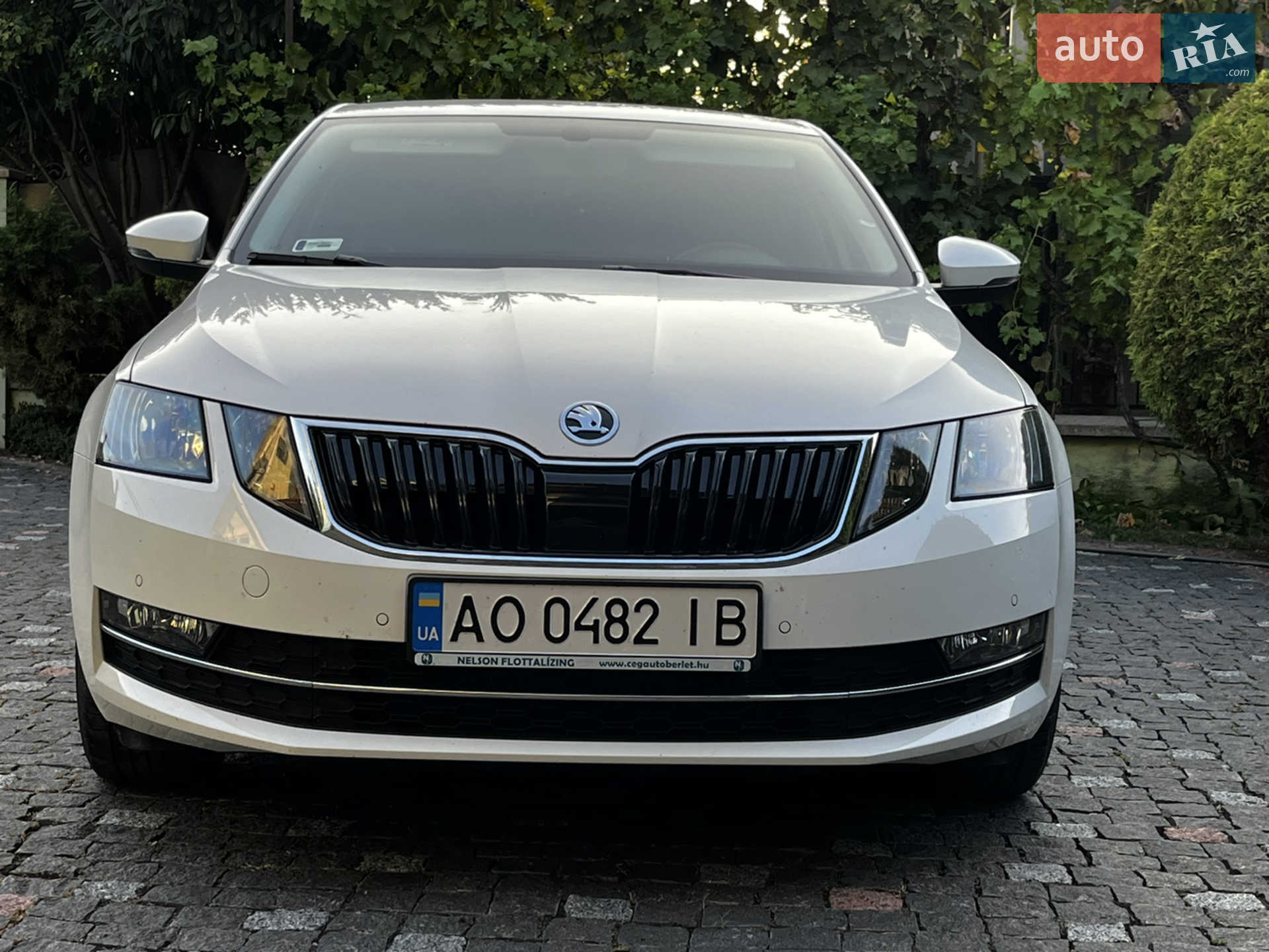 2018 Skoda Octavia - мініатюра 2