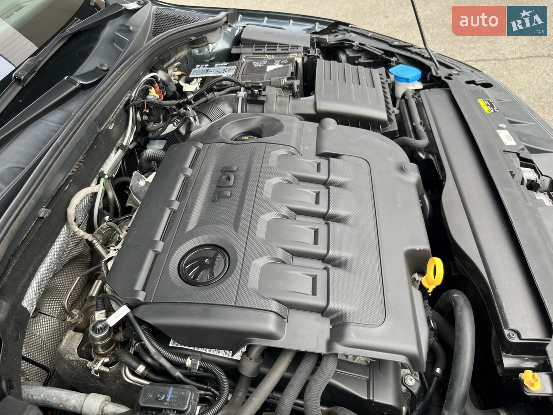 2019 Skoda Octavia - мініатюра 121