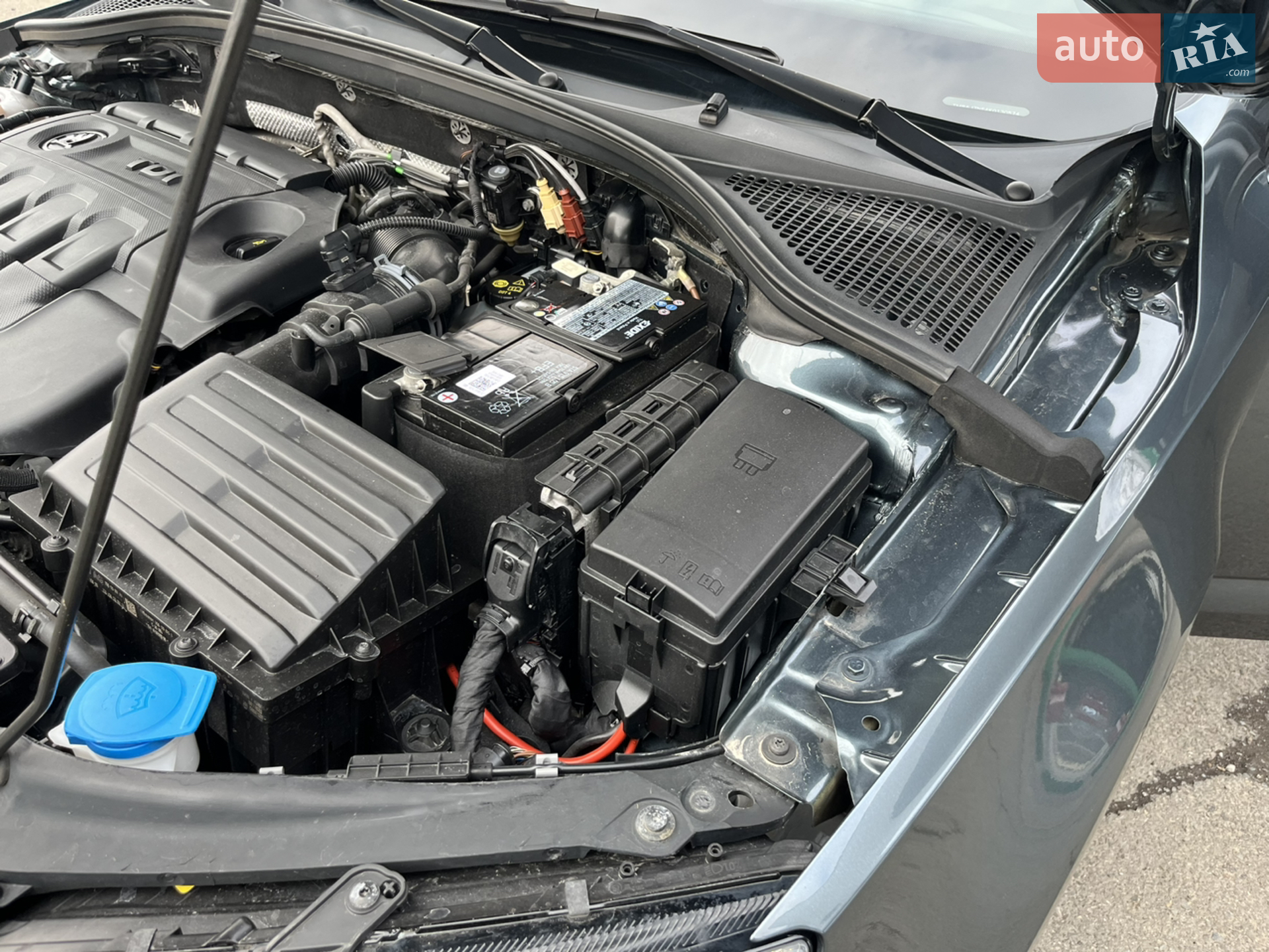 2019 Skoda Octavia - мініатюра 122