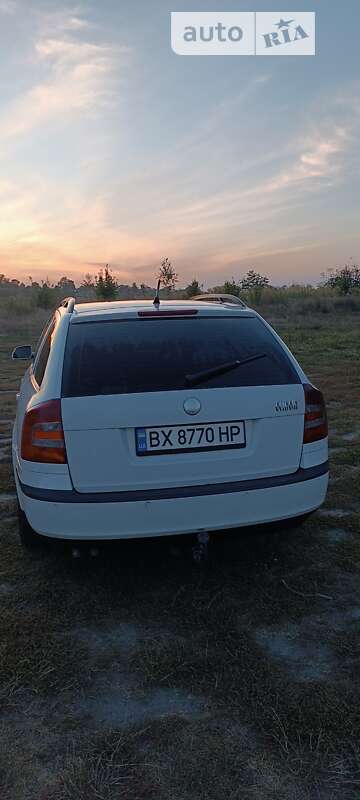 Универсал Skoda Octavia 2005 в Изяславе