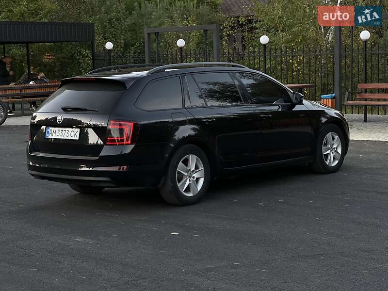 Универсал Skoda Octavia 2014 в Емильчине фото 17 Универсал Skoda Octavia 2014 в Емильчине