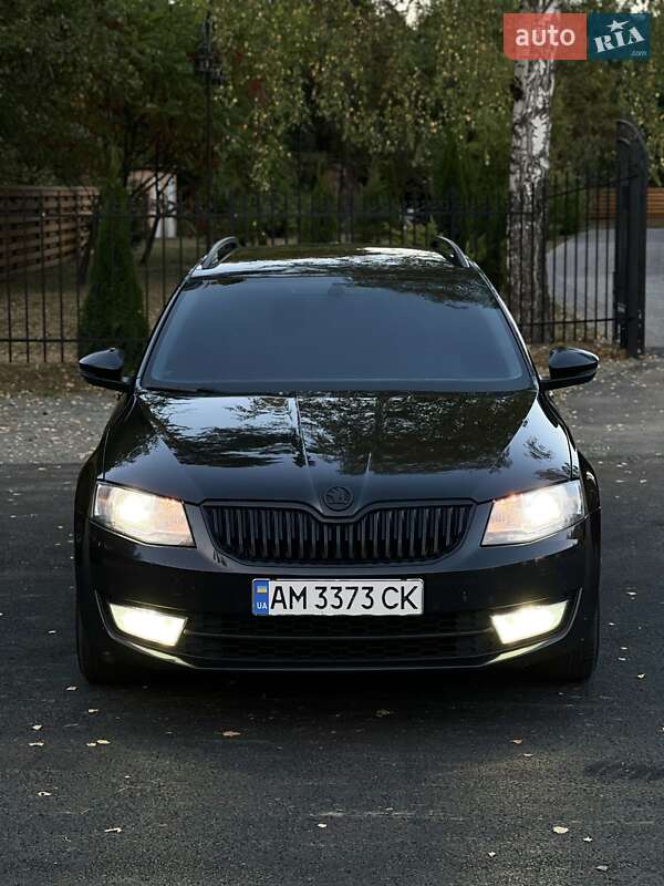 Универсал Skoda Octavia 2014 в Емильчине фото 41 Универсал Skoda Octavia 2014 в Емильчине