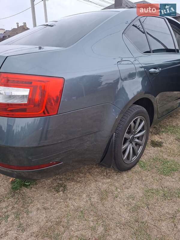 Лифтбек Skoda Octavia 2019 в Киеве