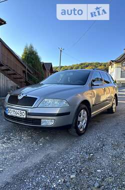 Универсал Skoda Octavia 2007 в Бережанах