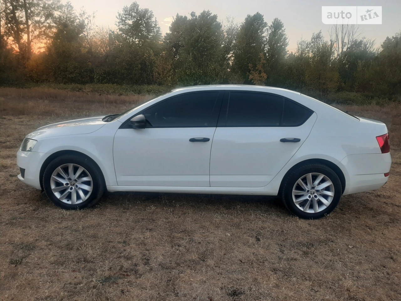 2014 Skoda Octavia - мініатюра 28