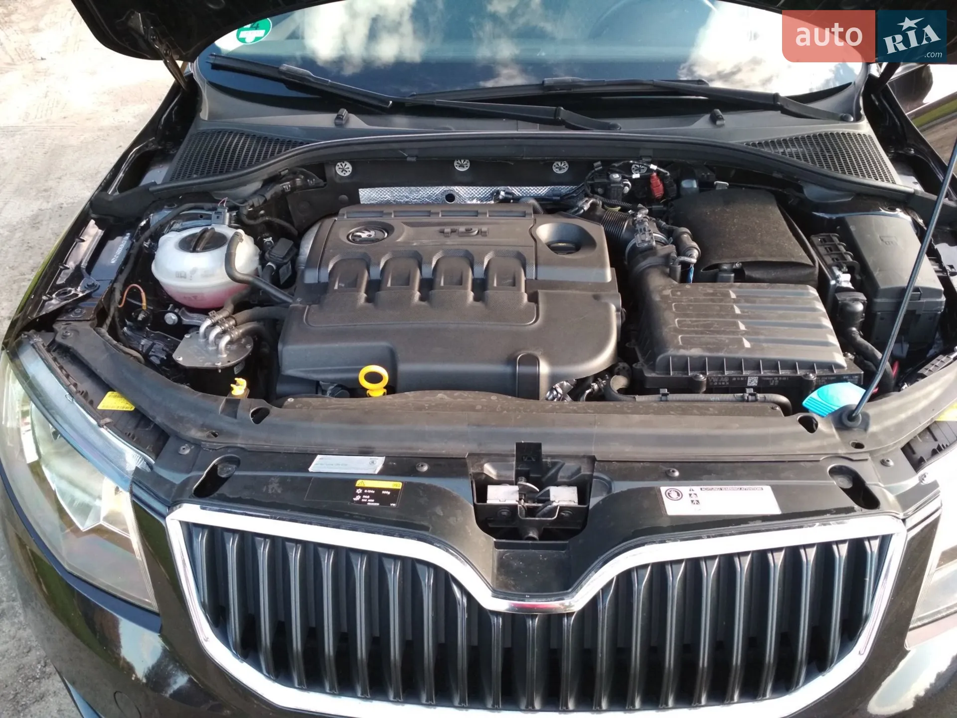 2015 Skoda Octavia - мініатюра 15