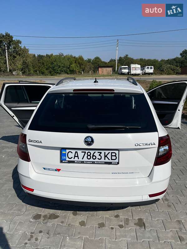 Універсал Skoda Octavia 2020 в Новодністровську