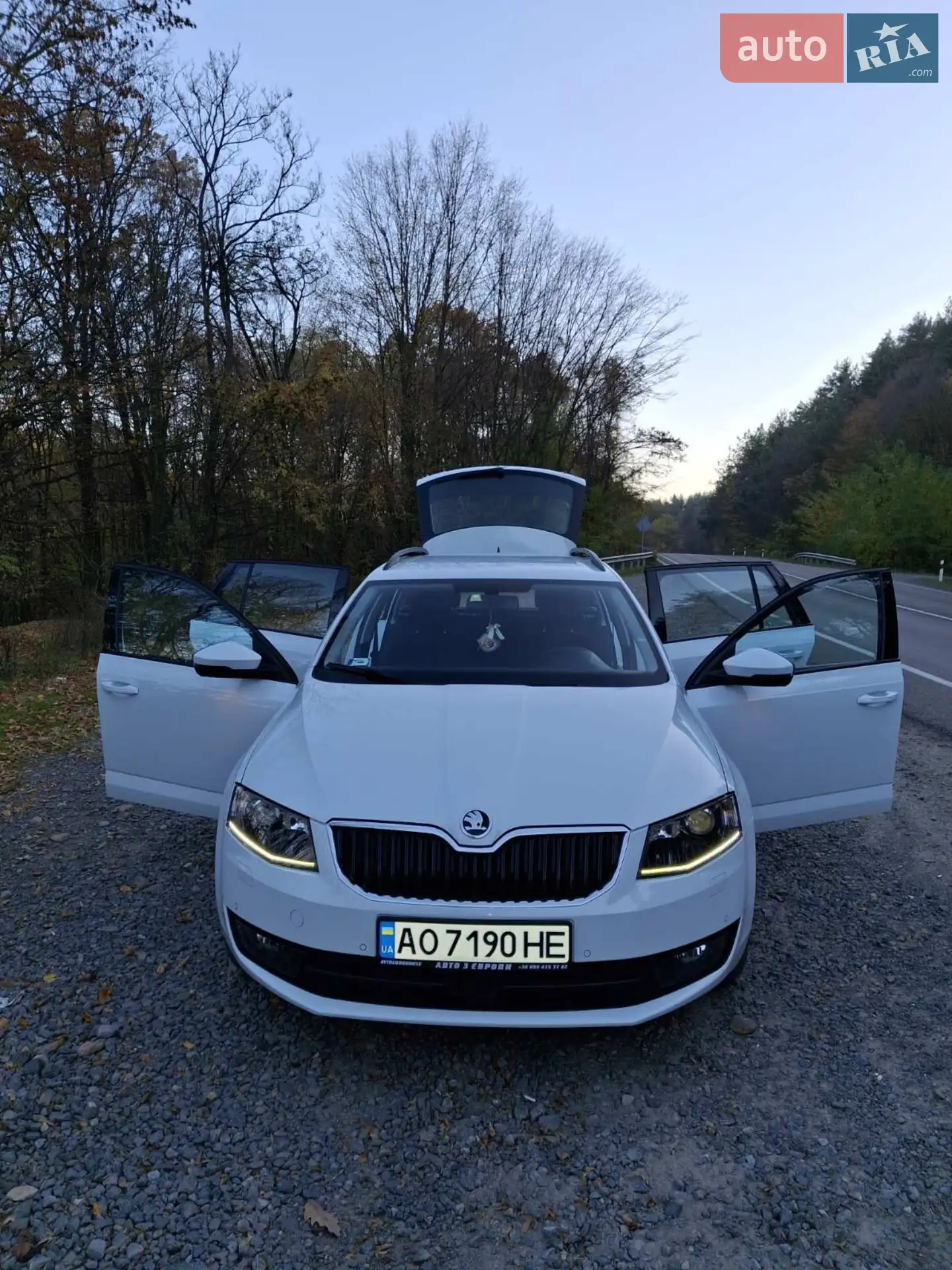 2016 Skoda Octavia - мініатюра 3