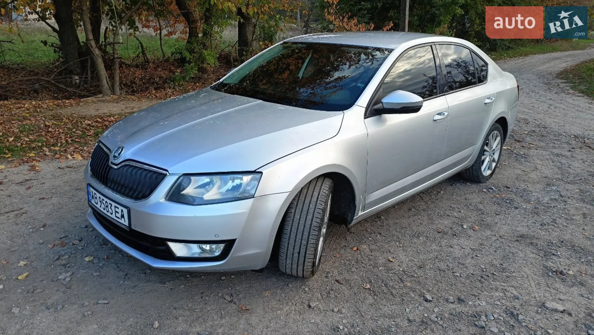 2013 Skoda Octavia - мініатюра 3