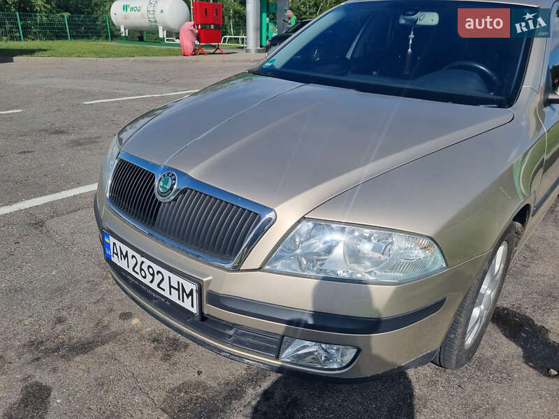 Лифтбек Skoda Octavia 2005 в Шепетовке