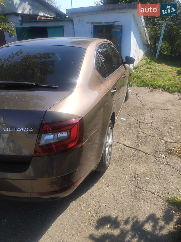 Лифтбек Skoda Octavia 2019 в Киеве