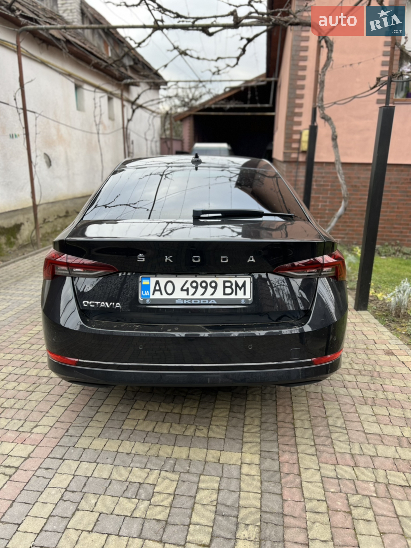 2020 Skoda Octavia - мініатюра 5