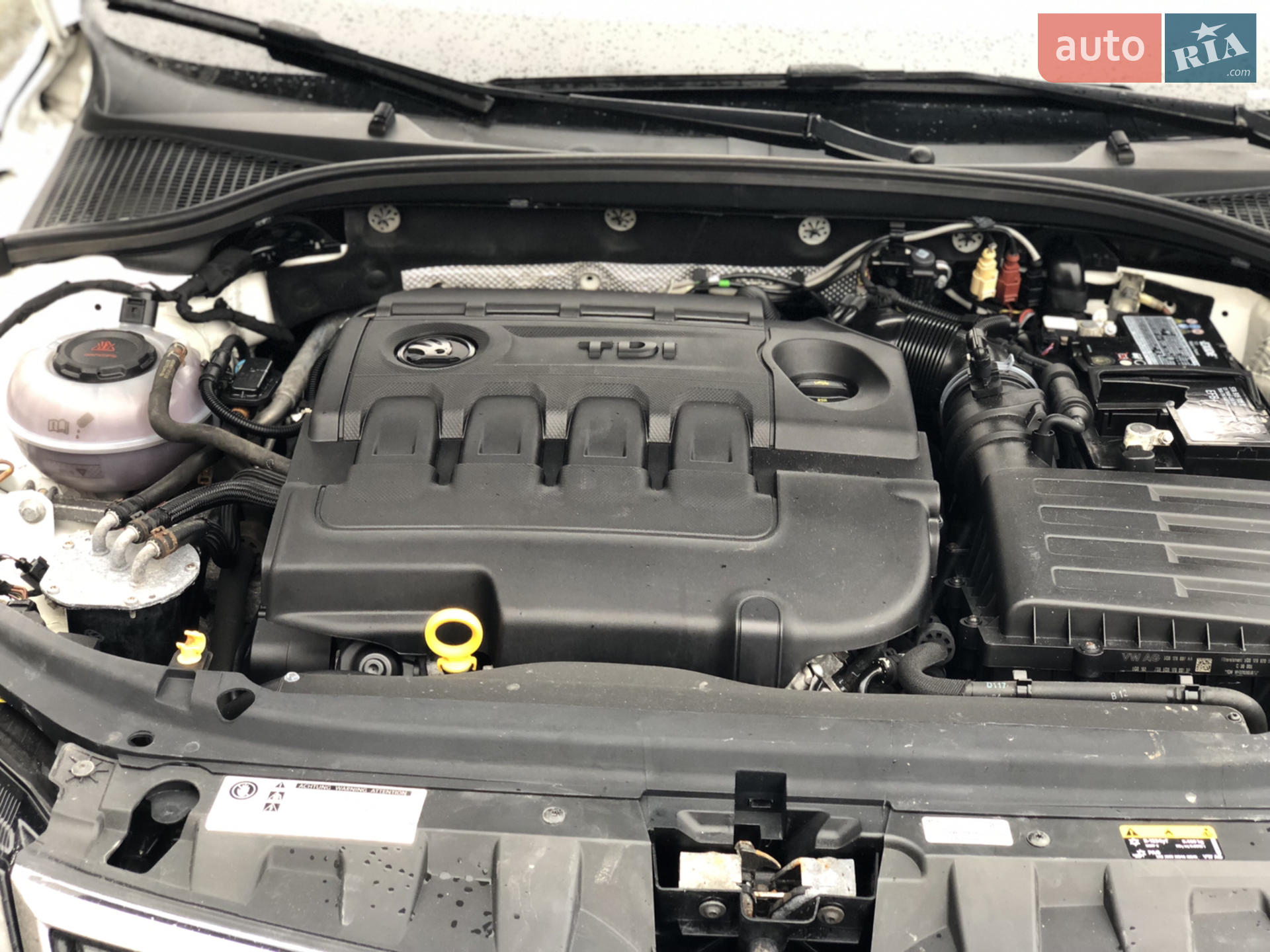 2019 Skoda Octavia - мініатюра 21