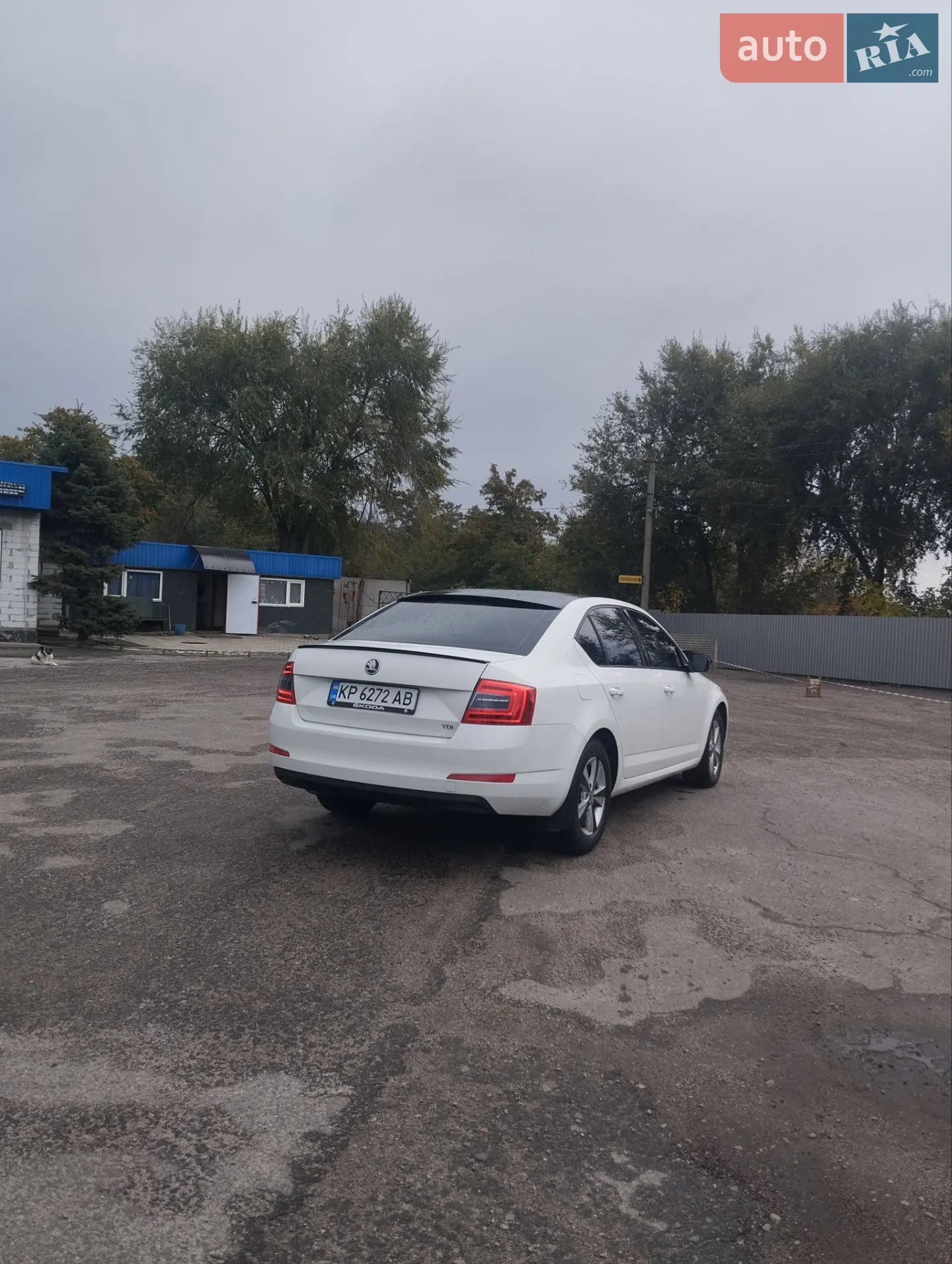 2013 Skoda Octavia - мініатюра 27