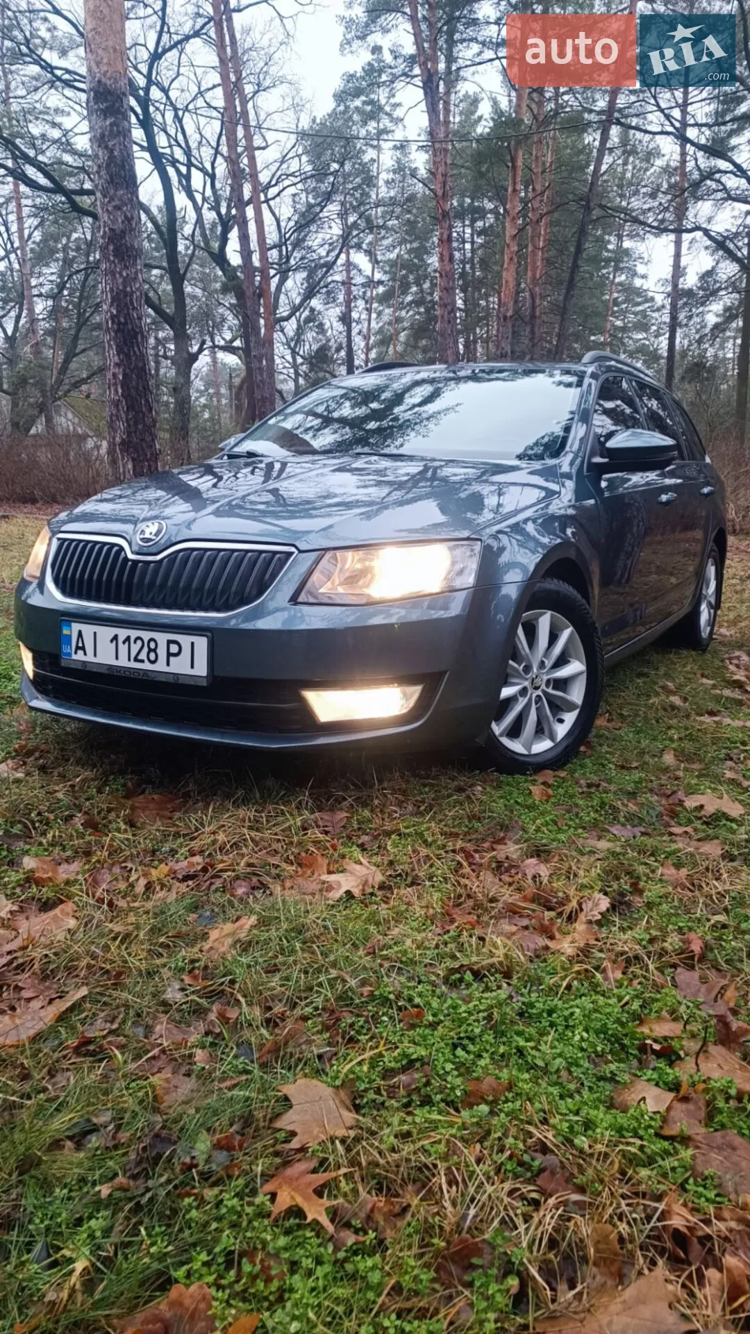 2016 Skoda Octavia - фото 1