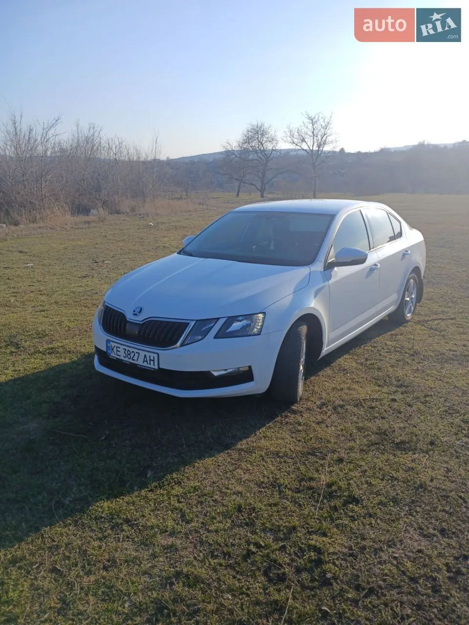 2018 Skoda Octavia - мініатюра 22