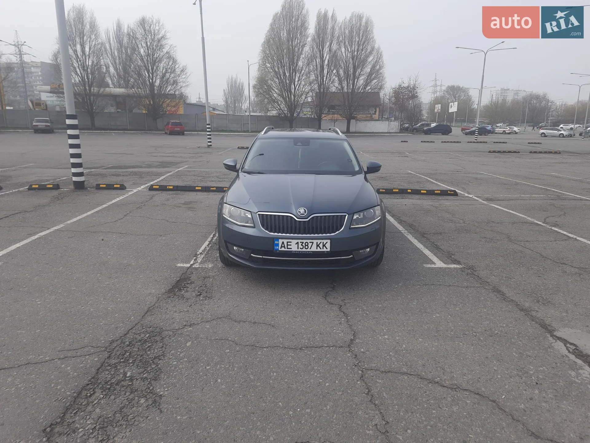 2014 Skoda Octavia - мініатюра 10