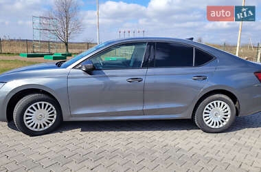 Ліфтбек Skoda Octavia 2023 в 