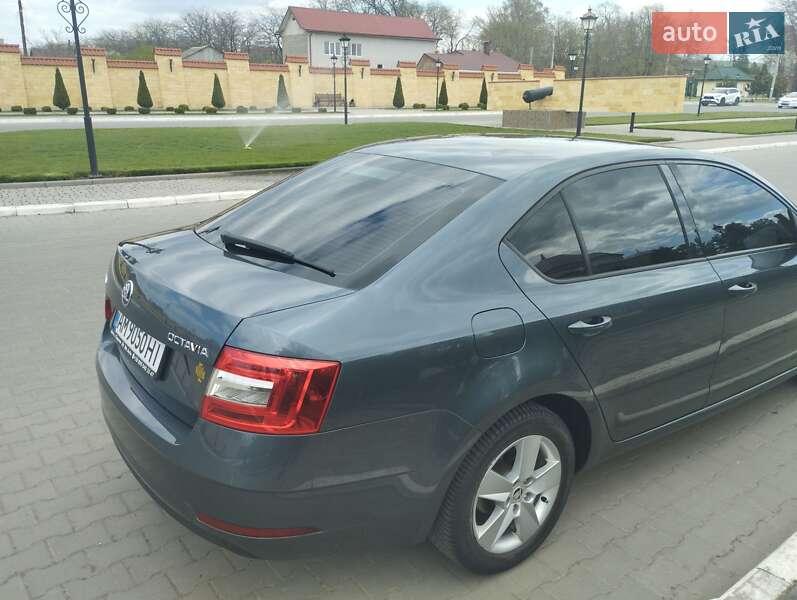 Лифтбек Skoda Octavia 2017 в Одессе