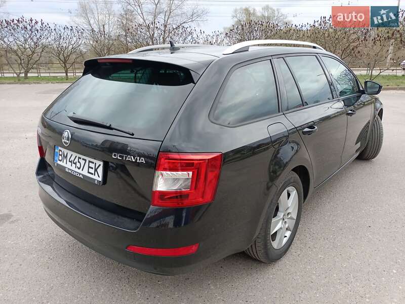 Універсал Skoda Octavia 2014 в Сумах