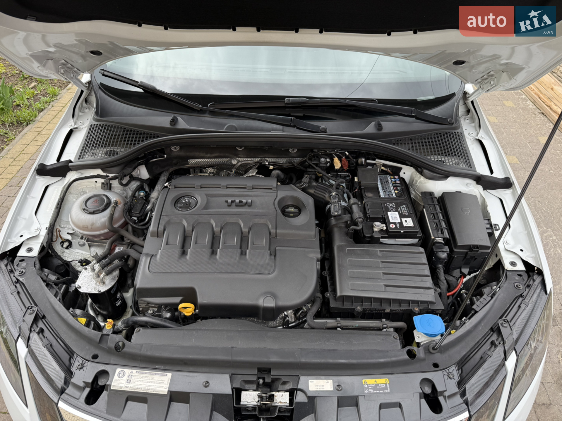 2018 Skoda Octavia - мініатюра 3
