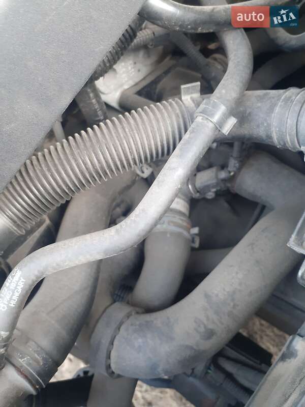 Лифтбек Skoda Octavia 2003 в Смолином