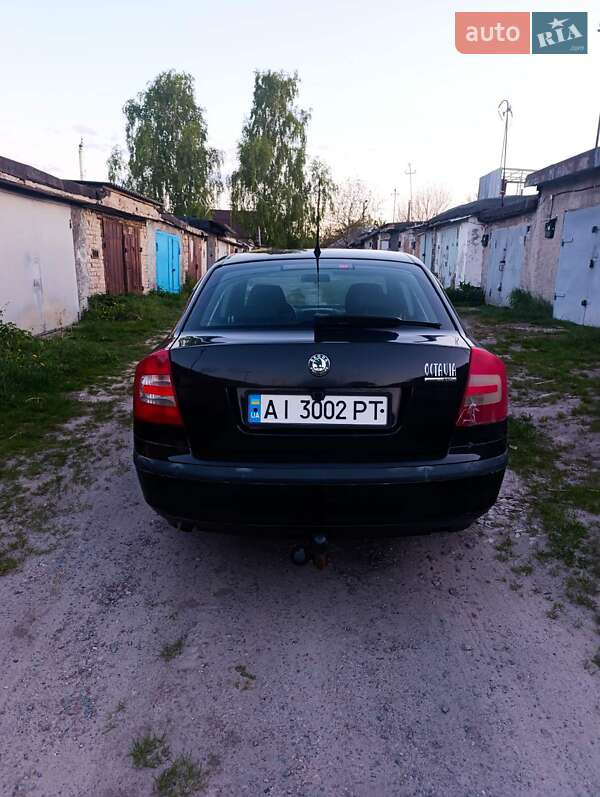 Ліфтбек Skoda Octavia 2006 в Борисполі