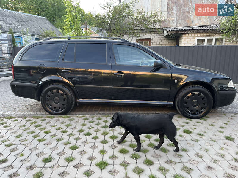 Універсал Skoda Octavia 2008 в Звягелі