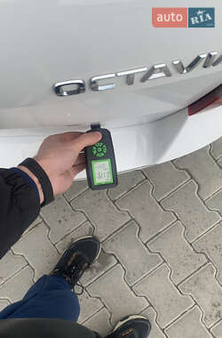 Универсал Skoda Octavia 2019 в 