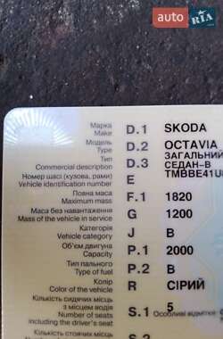 Лифтбек Skoda Octavia 2004 в 