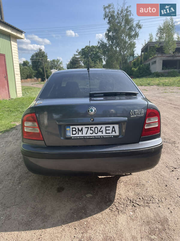 Лифтбек Skoda Octavia 2007 в Тростянце