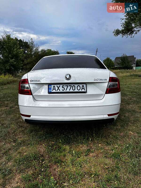 Лифтбек Skoda Octavia 2019 в Балаклее
