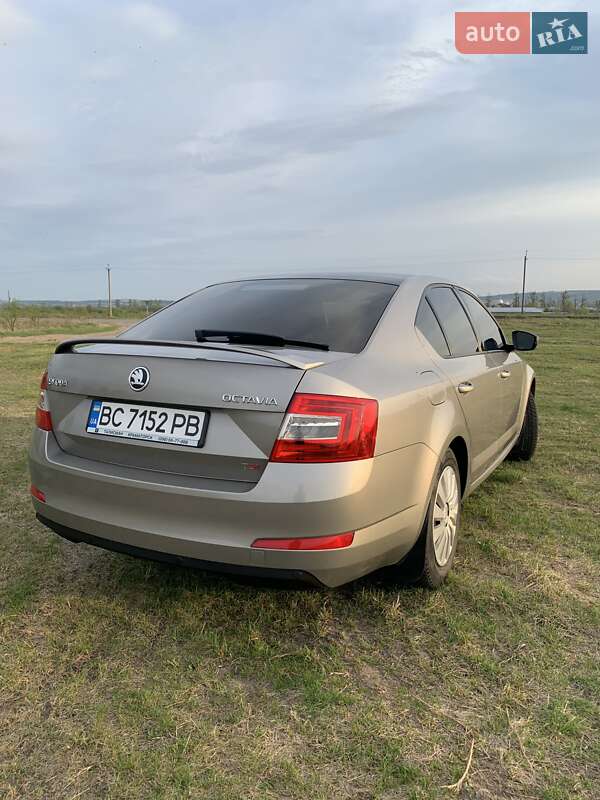Лифтбек Skoda Octavia 2013 в Жовкве