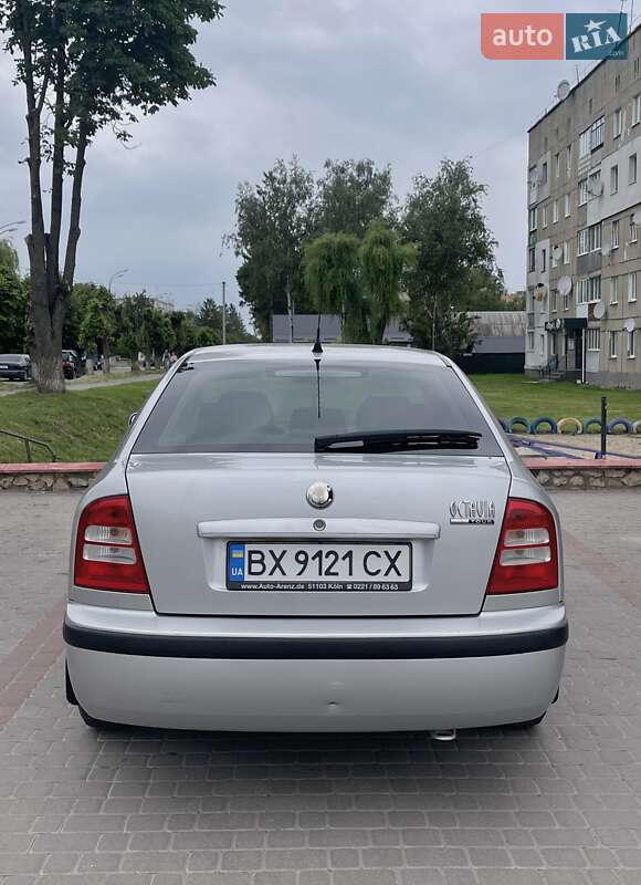 Лифтбек Skoda Octavia 2006 в Теофиполе