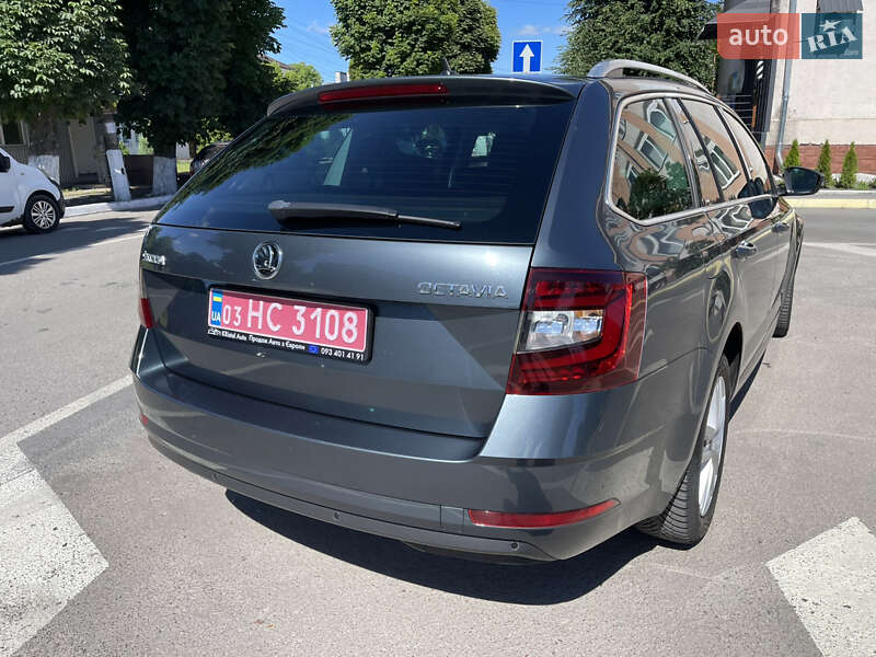 Универсал Skoda Octavia 2019 в Радивилове