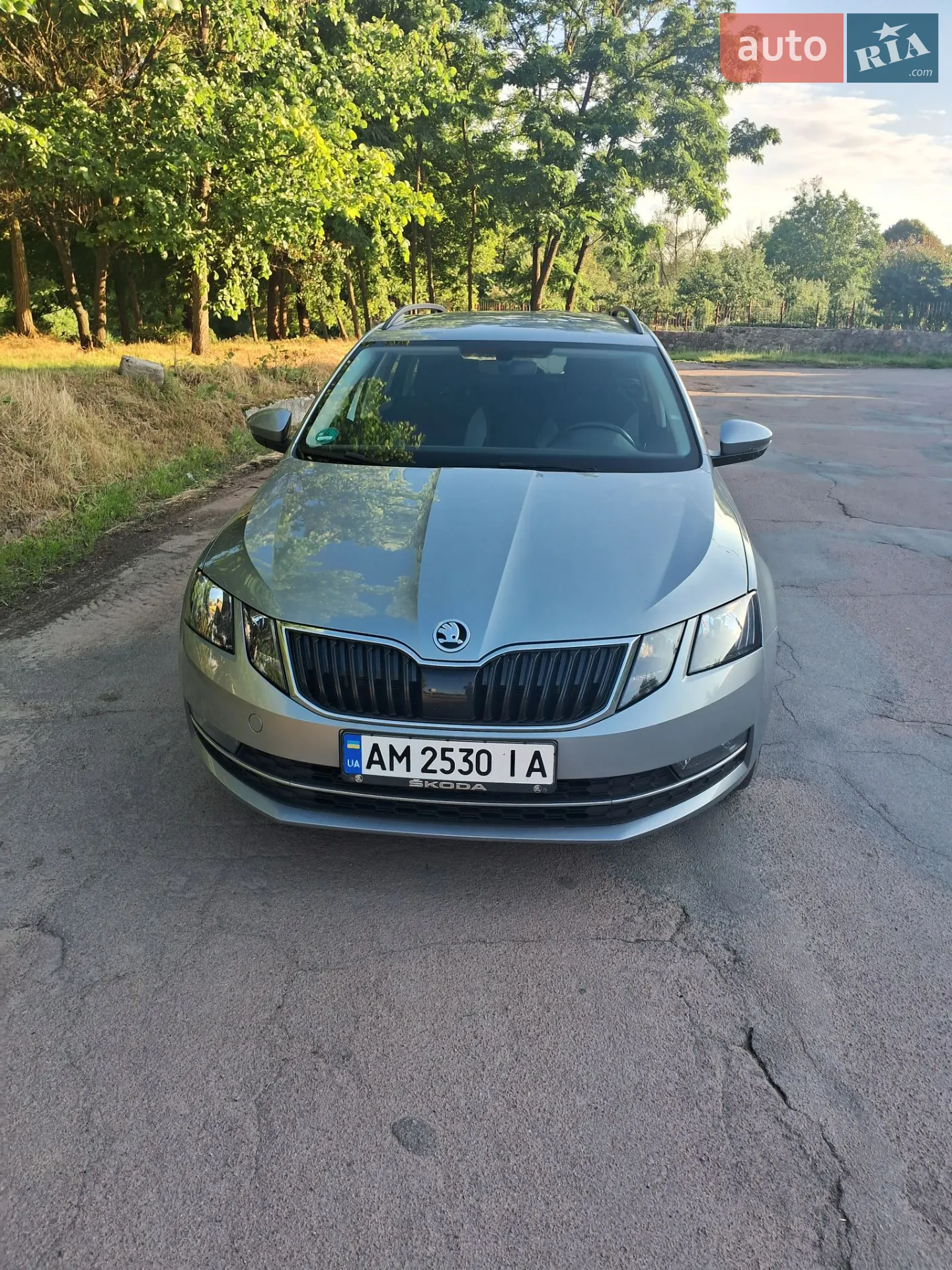 2019 Skoda Octavia - мініатюра 9
