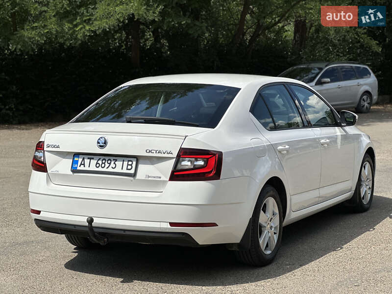 Ліфтбек Skoda Octavia 2019 в Коломиї