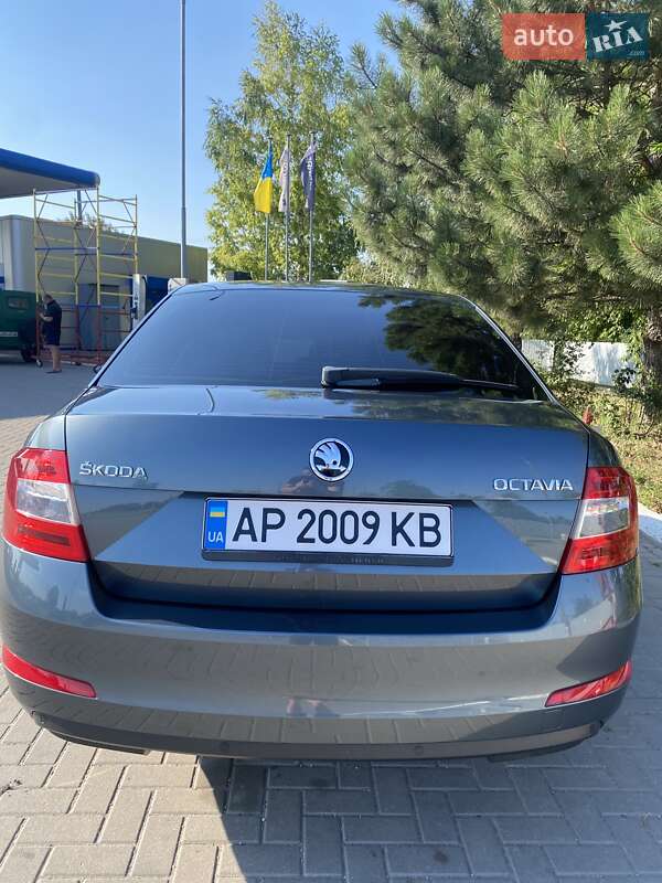 Ліфтбек Skoda Octavia 2016 в Новомиколаївці