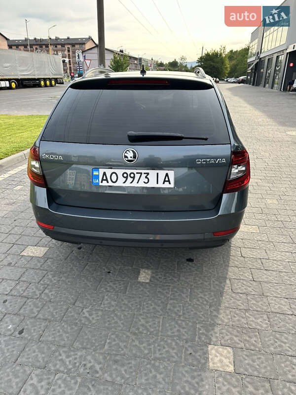 Универсал Skoda Octavia 2017 в Ужгороде