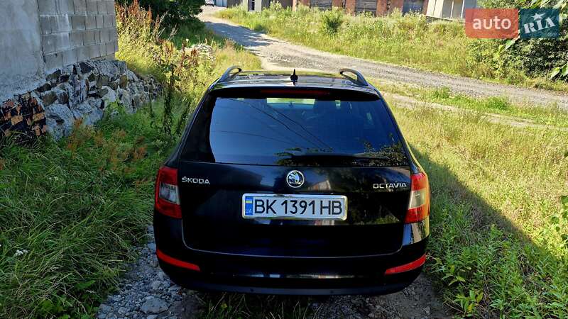 Универсал Skoda Octavia 2015 в Луцке