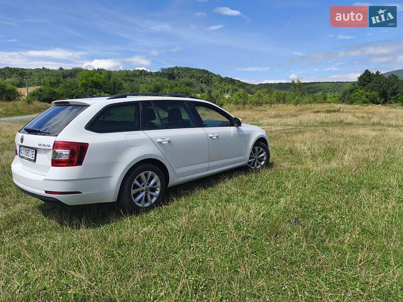 Универсал Skoda Octavia 2019 в Ужгороде