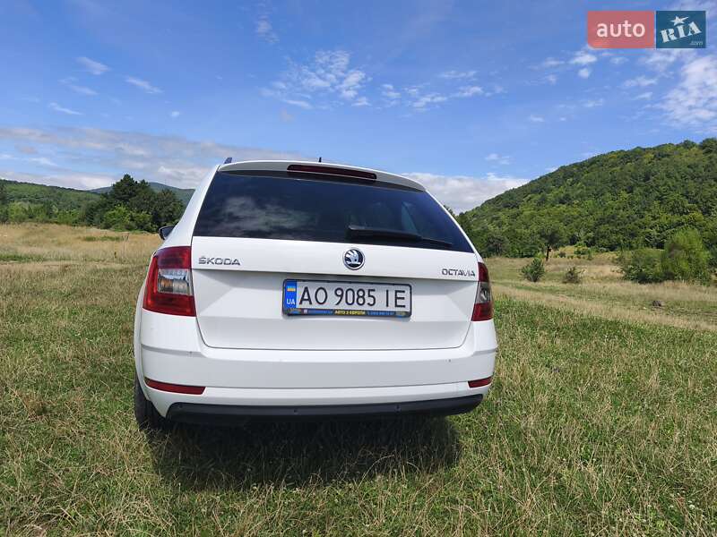 Универсал Skoda Octavia 2019 в Ужгороде