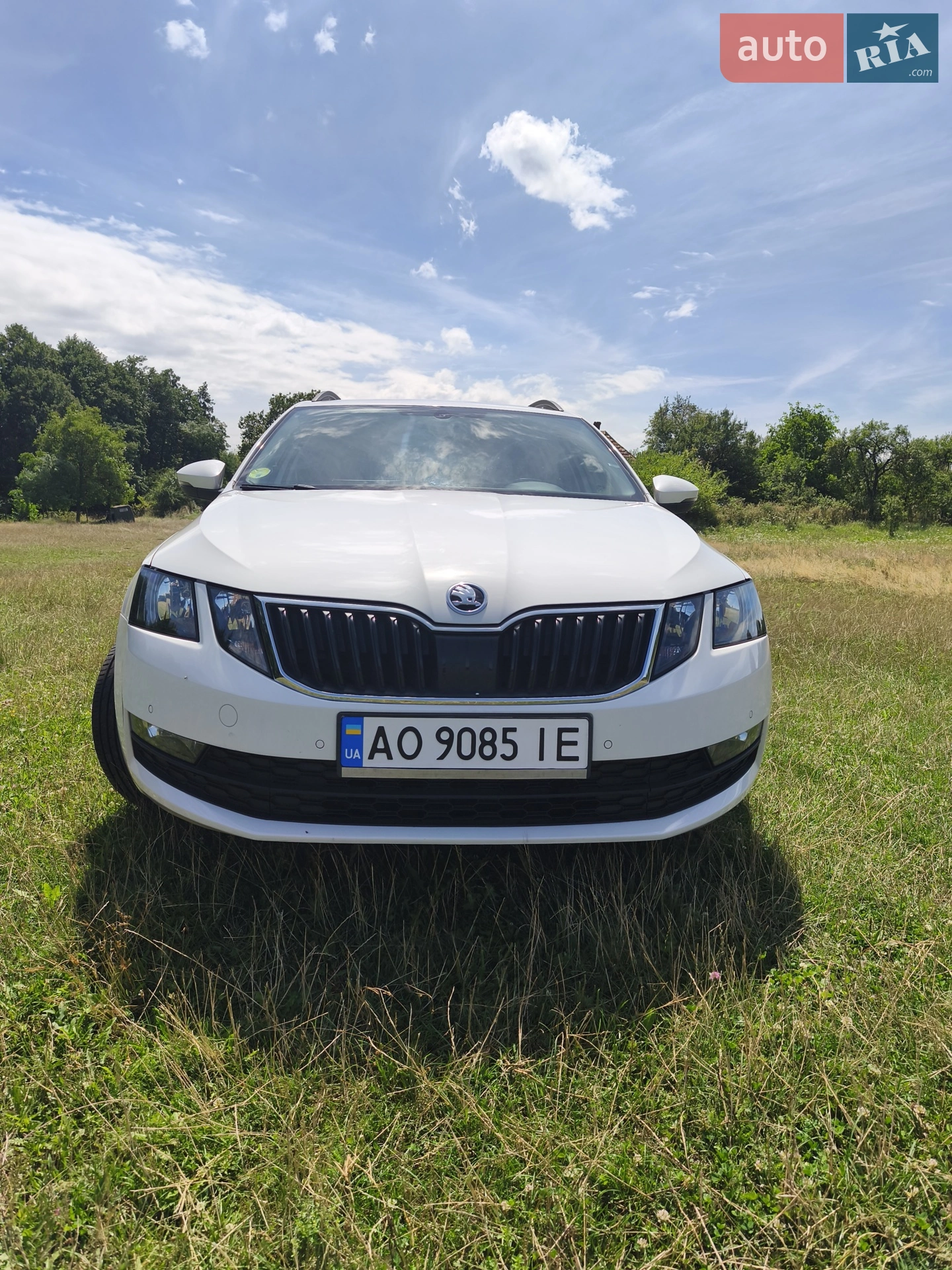 2019 Skoda Octavia - мініатюра 34